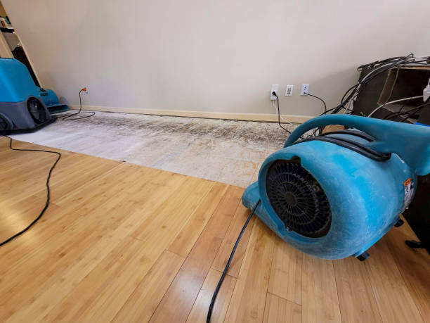 Professional Structural Drying technician working in Clearwater, FL